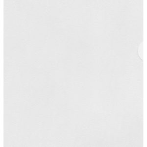 Esselte Caja de 100 Dossiers Uñero - Formato A4 - Lamina de PP Piel de Naranja - Grosor 0.11mm