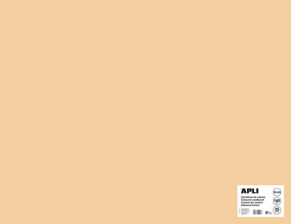 Apli Cartulina Salmon 50 x 65mm 170g 25 Hojas