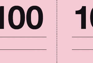 Apli Talonario Guardarropa 1-100 - Numeracion Del 1 al 100 - Papel Autocopiativo - Tamaño A-990 - Blanco