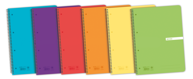 Enri Status Europeanbook A4+ Tapa de Plastico Translucido - Cuaderno con 120 Hojas - Formato 5x5 - Surtido de Colores - Ideal para Apuntes y Dibujos