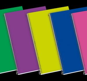 Enri Status Fº Tapa Extradura Cuaderno Espiral 4x4 - Tapa Dura Resistente - Cuaderno con Margen - 100 Hojas de Alta Calidad - Colores Surtidos