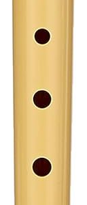 Hohner Flauta Dulce - Fabricada en Plastico - Ideal para los mas Pequeños - Incluye Funda - Color Crema